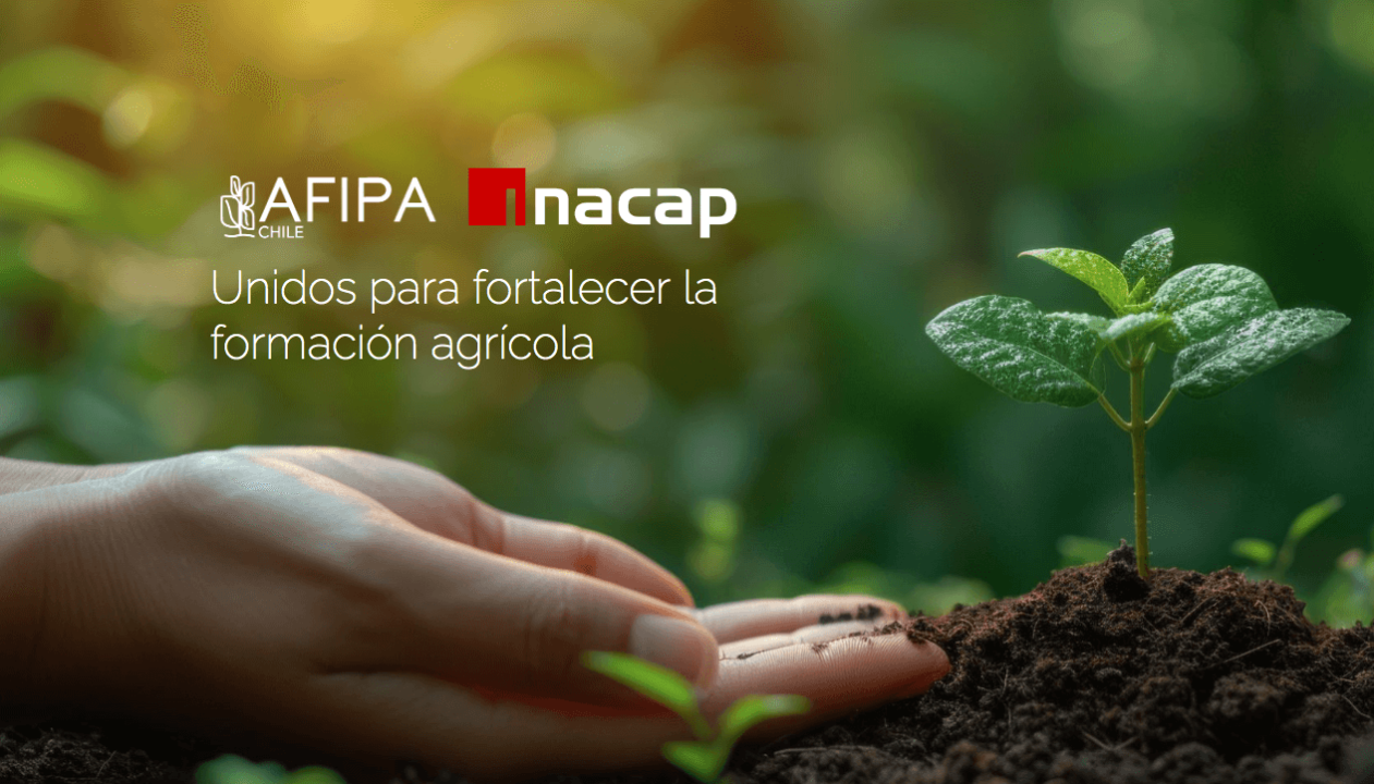 AFIPA integra el Comité Técnico de INACAP AFIPA