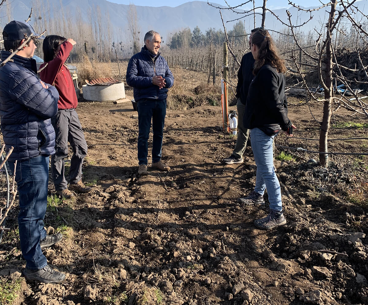 Lee más sobre el artículo Avances del Proyecto “Agricultura Sostenible en Acción”: Control de malezas y muestras de agua y suelo en huerto de cerezas
