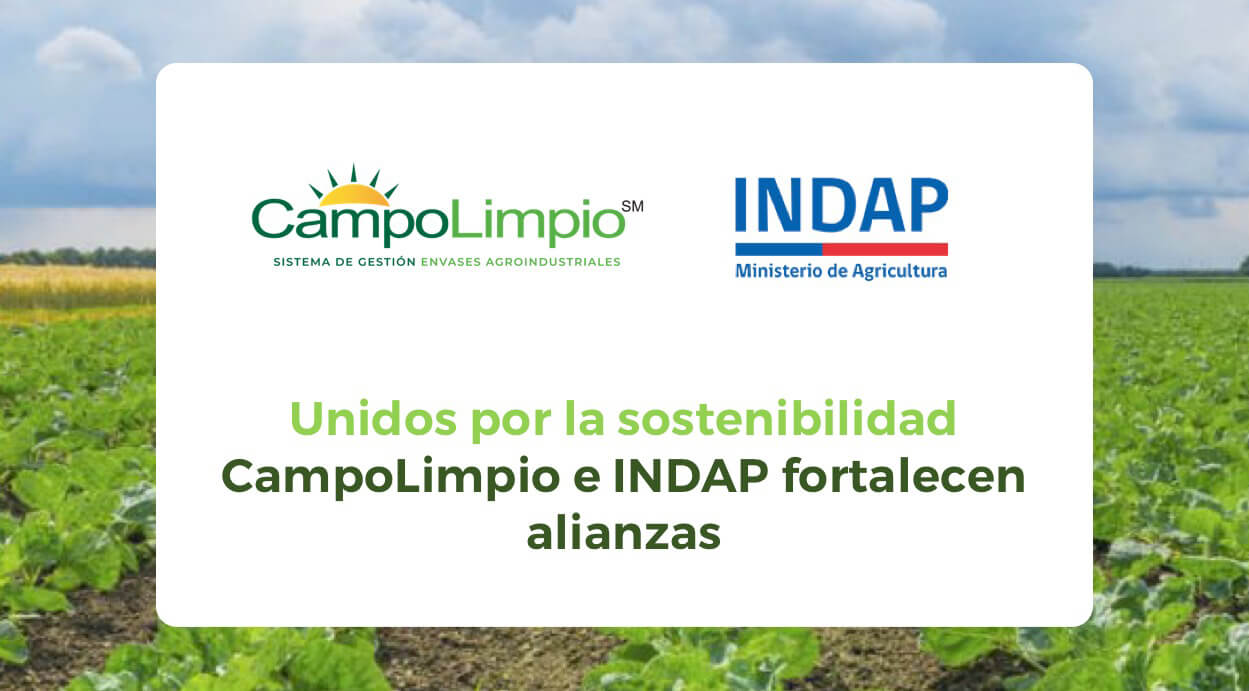 Lee más sobre el artículo CampoLimpio e INDAP unen esfuerzos por una agricultura más sostenible