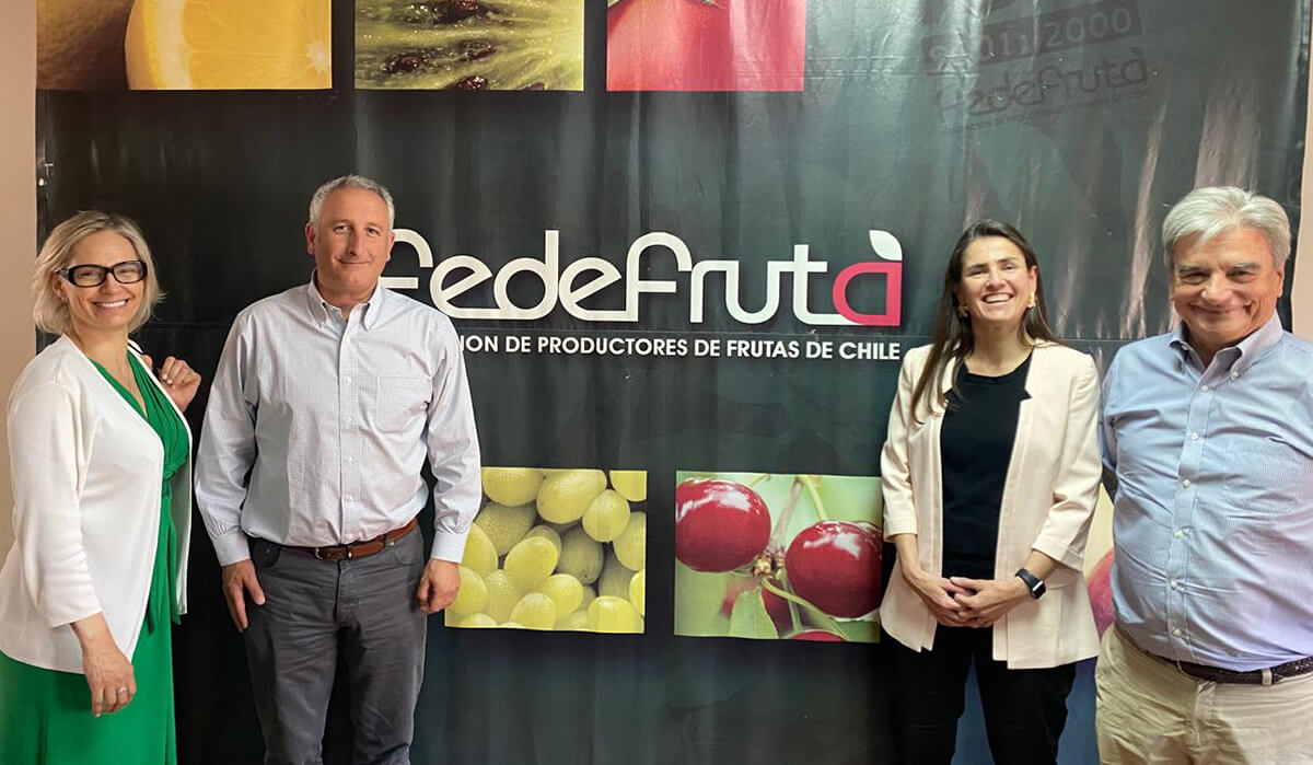 Lee más sobre el artículo CampoLimpio presenta su sistema de gestión de envases agrícolas a Fedefruta como solución para una agricultura sostenible